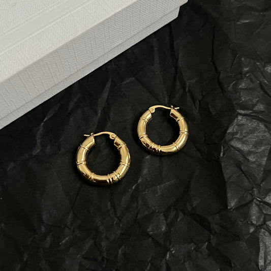 CELINE Earrings